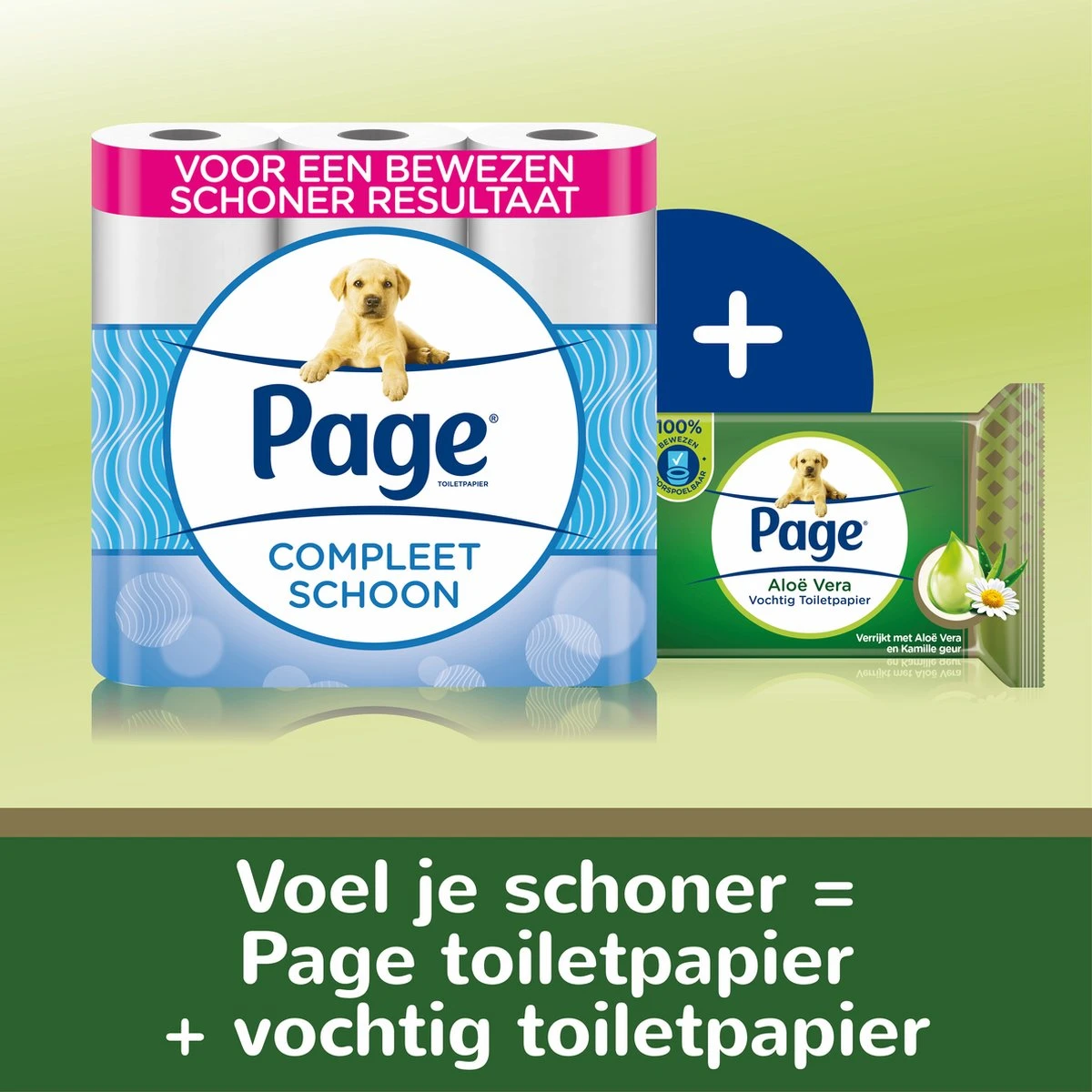 Page Vochtig Toiletpapier - 12 X 38 Stuks - Aloë Vera Vochtig Wc Papier - Voordeelverpakking - Afbeelding 3