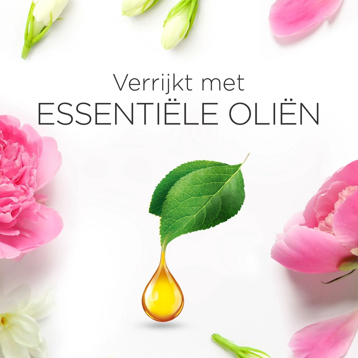 Air Wick Essential Mist Automatische Luchtverfrisser - Verfrissende Pioen En Jasmijn - 3 Navullingen - Afbeelding 6