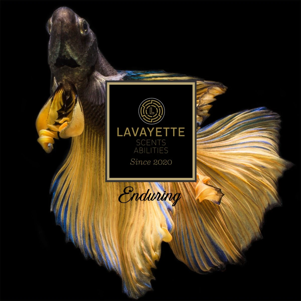 Lavayette Premium Wasparfum 2in1 - Double Fun & Jasmine Shades - Geurbooster - Afbeelding 7
